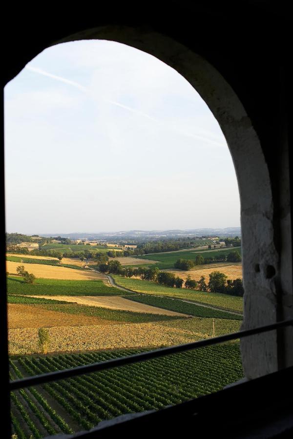 Château de Salettes Cahuzac-sur-Vère Exterior foto