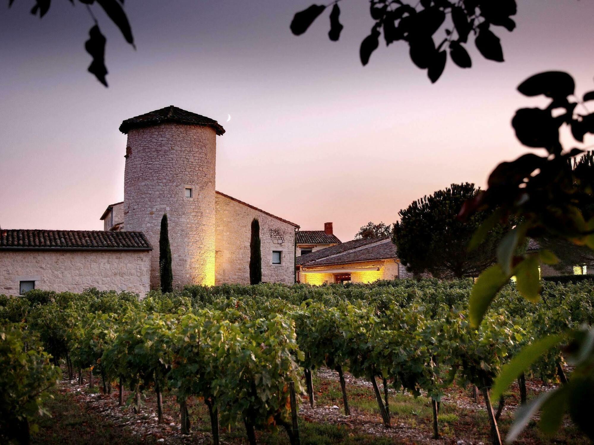 Château de Salettes Cahuzac-sur-Vère Exterior foto